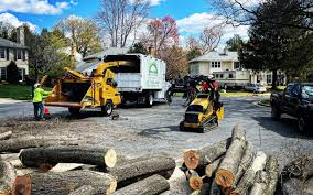 Artificial Turf Installation in Westlake Corner, VA