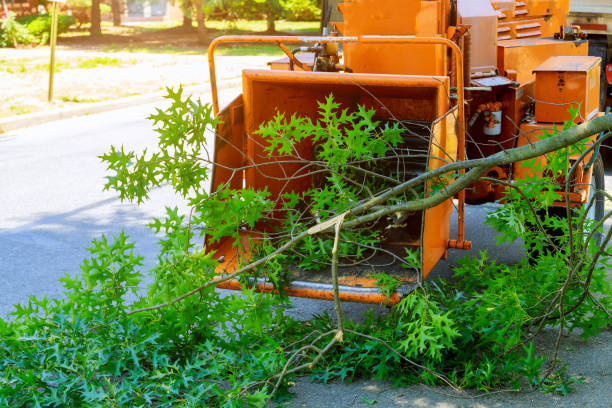 Best Weed Control  in Westlake Corner, VA